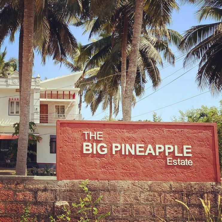 The Big Pineapple Estate Villa Udupi Zewnętrze zdjęcie
